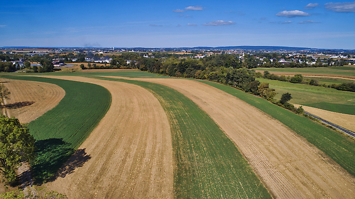 포토 JPG 해외이미지 식물 구름 계절 산업 문화 음식 백그라운드 잎 밭 농업 채소 자연 하늘 옥수수 풍경 사람없음 야외 초록색 여름 파란색 농작물 농장 농경지 환경 맑음 봄 수확 성장 시골 신선 낟알 땅 유기농 장면 내추럴 드론 밭일 줄서기 수평선 세련 해외포토 자연요소 웰빙 컬러 모션 날씨 곡류 생태계 파일형식 이미지허브