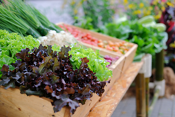 포토 JPG 해외이미지 잡화 음식 농업 토마토 채소 비즈니스 건강 사람없음 세일 상점 수확 신선 시장 유기농 슈퍼마켓 해외포토 웰빙 산업 파일형식 이미지허브