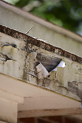 포토 JPG 해외이미지 외관 백그라운드 건축양식 지붕 부동산 추상 아파트 주택 사람없음 야외 건물 목재 세로 페인트 껍질 시골 재산 메인 목공예 잡동사니 유지 개발 복원 수목 옛날 해외포토 나무 건축물 건축 무늬 재료 금융 공예 파일형식 이미지허브