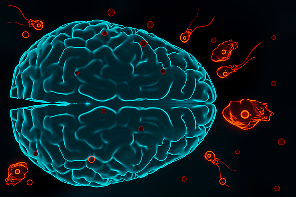 포토 JPG 해외이미지 과학 일러스트 사람없음 물 약 3D 고통 질병 뇌 두통 감염 전염 미생물 기생충 해외일러스트 자연요소 감정 의학 생물 바이러스 디지털합성 파일형식 이미지허브