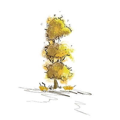 포토 JPG 해외이미지 클립아트 모양 나무 식물 디자인 계절 실루엣 백그라운드 잎 일러스트 바람 추상 잉크 창조 미술 사람없음 그래픽 초록색 물 컬러풀 노란색 페인트 봄 흰색 붓 점 그리기 떨어짐 씻기 숲 관목 심볼 질감 페인트붓 상록수 고립 엘리먼트 자취 해외일러스트 자연요소 컬러 컨셉 무늬 모션 날씨 문화예술 촬영기법 청결 파일형식 이미지허브