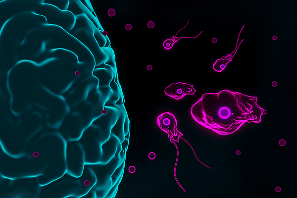 포토 JPG 해외이미지 과학 일러스트 사람없음 물 약 3D 고통 질병 뇌 두통 감염 전염 미생물 기생충 해외일러스트 자연요소 감정 의학 생물 바이러스 디지털합성 파일형식 이미지허브