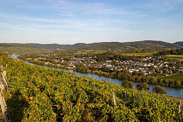 포토 JPG 해외이미지 식물 열매 음료 음식 과일 자연 하늘 산 독일 파노라마 풍경 사람없음 초록색 파란색 관광지 강 태양 마을 와인 계곡 맑음 수확 가을 레드와인 포도밭 포도나무 석판 해외포토 자연요소 계절 유럽 컬러 여행 밭 농업 날씨 주류 촬영기법 과일나무 생태계 파일형식 이미지허브