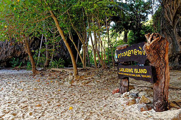 포토 JPG 해외이미지 나무 아시아 모래 바다 섬 여행 태국 자연 하늘 휴가 휴식 사람없음 야외 물 파란색 모래사장 태양 뷰티 여행객 평화 고요 만 보트 에메랄드 안다만 터키석 파라다이스 해외포토 자연요소 식물 나라 컬러 컨셉 배_교통 사람 보석 생태계 파일형식 이미지허브