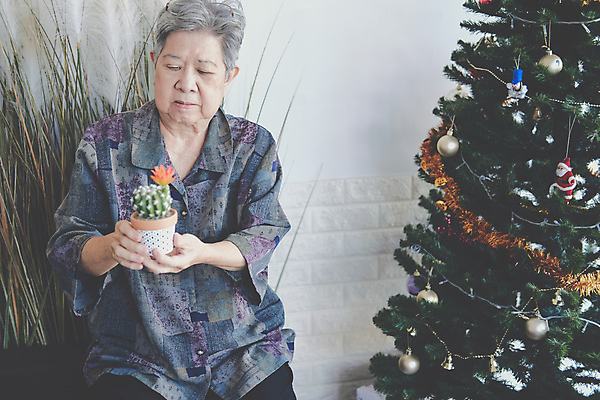포토 JPG 해외이미지 나무 식물 라이프스타일 계절 여자 노년 할머니 크리스마스 휴가 기념 한명 앉기 장식 축제 축하 냄비 12월 은퇴 옛날 해외포토 1 기념일 컨셉 모션 사람 성인 생활 날짜 솥 파일형식 이미지허브