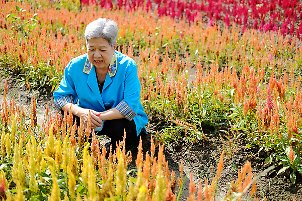 포토 JPG 해외이미지 식물 라이프스타일 공원 여자 꽃 행복 휴식 한명 동양인 야외 정원 은퇴 옛날 해외포토 1 공공시설 감정 컨셉 사람 인종 생활 파일형식 이미지허브