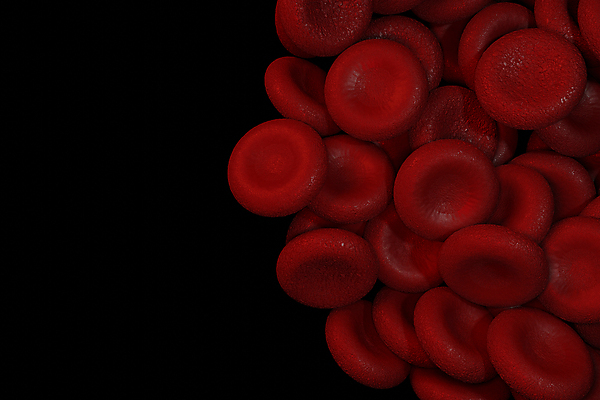 포토 JPG 해외이미지 세포 사람없음 빨간색 3D 적혈구 혈구 해외포토 컬러 디지털합성 혈관 파일형식 이미지허브