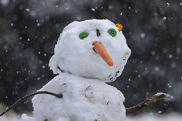 포토 JPG 해외이미지 나무 계절 공원 백그라운드 잎 겨울 눈사람 버튼 날씨 휴가 새로움 사람없음 야외 빛 울타리 정원 얼음 당근 추위 흰색 나뭇가지 인사 도시 스페인 북극 코 서리 장면 지역 폭풍 일반 눈보라 눈덩이 1월 나쁜 마드리드 눈내림 해외포토 자연요소 식물 공공시설 유럽 컬러 컨셉 뿌리채소 눈_날씨 신체부위 담장 예절 날짜 극지방 파일형식 이미지허브