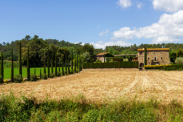 포토 JPG 해외이미지 나무 식물 유럽 밭 농업 건축양식 자연 하늘 주택 옥수수 사람없음 야외 건물 초록색 파란색 농작물 농장 맑음 흙 성장 시골 스페인 땅 해외포토 건축물 건축 나라 산업 컬러 날씨 곡류 생태계 파일형식 이미지허브