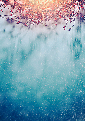 포토 JPG 해외이미지 계절 열매 백그라운드 크리스마스 겨울 동화 휴가 새해 크리스마스카드 요정 사람없음 장식 화환 공백 흰색 신용카드 눈송이 그림 파란배경 보케 엽서 초대 마법 폭풍우 눈내림 카피스페이스 해외포토 식물 기념일 꽃 컬러 카드_감사 눈_날씨 금융 파란색 비_날씨 자연재해 편지 파일형식 이미지허브