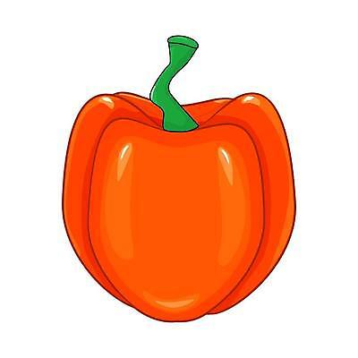 EPS 해외이미지 식물 디자인 음식 줄기 농업 채소 오렌지 과일 일러스트 재료 자연 고추 파프리카 건강 요리 그래픽 여름 컬러풀 농장 라벨 정원 수확 종 신선 시장 달콤 상품 만화 먹기 향신료 오브젝트 싱글 흰배경 유기농 날것 후추 내추럴 고립 숙성 엘리먼트 채식주의자 해외일러스트 웰빙 계절 산업 컬러 모션 프레임 흰색 맛 생태계 채식 향미료 파일형식 벡터 컨셉 양념 이미지허브