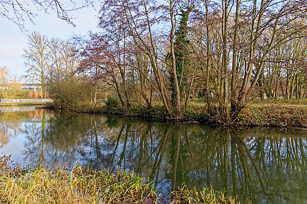 포토 JPG 해외이미지 나무 영어 공원 유럽 호수 여행 백그라운드 교통시설 자연 하늘 영국 잉글랜드 사람없음 야외 초록색 물 강 컬러풀 독서 햇빛 태양 뷰티 환경 시골 숲 강가 잠금 운하 좁은 내추럴 옛날 해외포토 자연요소 식물 문자 공공시설 나라 컬러 교통 시설 생태계 보안 파일형식 이미지허브