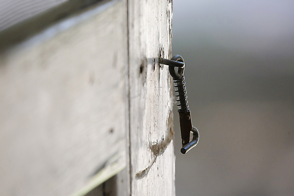 포토 JPG 해외이미지 외관 백그라운드 패턴 추상 주택 자물쇠 안전 사람없음 야외 건물 목재 가로 문 스크린 흰색 오픈 그물 투명 벌레 보호 위험 질감 복고 잠금 보안 철사 폭풍 망사 패널 옛날 해외포토 나무 건축물 컬러 곤충 컨셉 무늬 재료 날씨 직물 파일형식 이미지허브