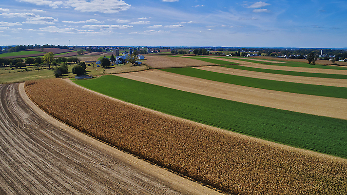포토 JPG 해외이미지 식물 구름 계절 산업 문화 음식 백그라운드 잎 밭 농업 채소 자연 하늘 옥수수 풍경 사람없음 야외 초록색 여름 파란색 농작물 농장 농경지 환경 맑음 봄 수확 성장 시골 신선 낟알 땅 유기농 장면 내추럴 드론 밭일 줄서기 수평선 세련 해외포토 자연요소 웰빙 컬러 모션 날씨 곡류 생태계 파일형식 이미지허브