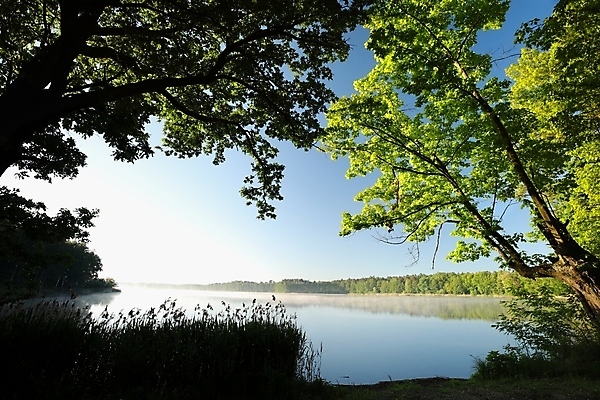 포토 JPG 해외이미지 나무 계절 호수 백그라운드 낙엽 잎 자연 하늘 아침 풍경 사람없음 초록색 물 빛 컬러풀 햇빛 태양 반사 평화 일출 환경 맑음 봄 새벽 활발 거울 나뭇가지 시골 연못 신선 5월 내추럴 강렬 해외포토 주간 자연요소 식물 컬러 컨셉 날씨 노을 날짜 생태계 파일형식 이미지허브