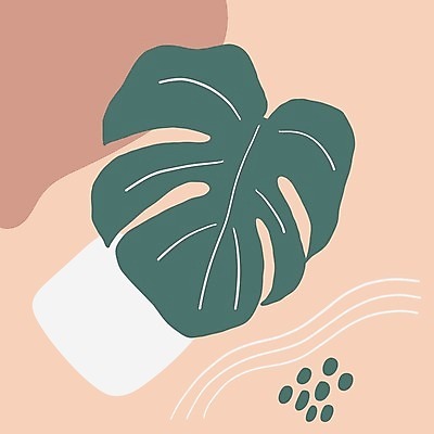 EPS 해외이미지 무료이미지 디자인 분홍색 백그라운드 곡선 일러스트 추상 사람없음 그림 청록색 몬스테라 미니멀 해외일러스트 식물 선 컬러 무늬 파일형식 벡터 이미지허브