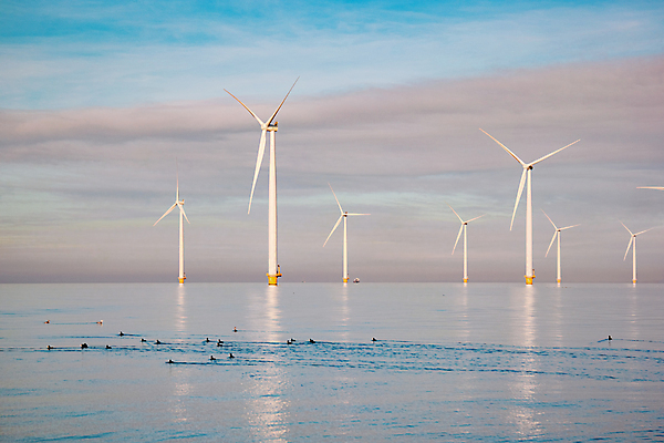 포토 JPG 해외이미지 식물 산업 바람 해변 사람없음 초록색 파란색 농장 환경 탑 힘 재활용 풍차 발전기 에너지 흰색 그린에너지 풍력에너지 보호 에코 생태계 프로펠러 지구온난화 세대 유지 내추럴 방앗간 생태학 해외포토 자연요소 건축물 교육 바다 컬러 컨셉 농업 날씨 발전소 친환경 기후변화 파일형식 이미지허브