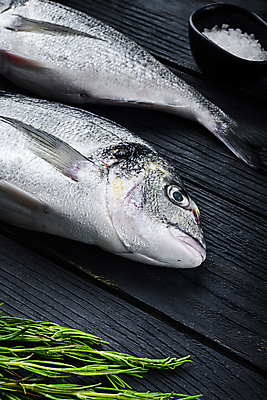포토 JPG 해외이미지 검은배경 사람없음 허브 날것 도미 나무배경 해외포토 식물 백그라운드 어류 검은색 파일형식 이미지허브