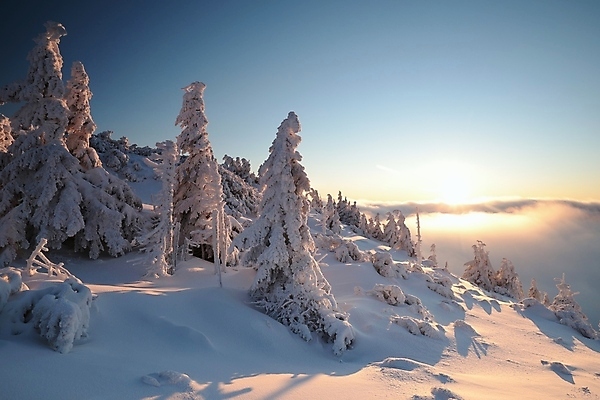 포토 JPG 해외이미지 나무 계절 여행 백그라운드 겨울 오렌지 자연 하늘 날씨 산 파노라마 사람없음 야외 파란색 빛 컬러풀 햇빛 태양 일출 냉동 얼음 침묵 황혼 일몰 새벽 추위 나뭇가지 소나무 정상 숲 시원함 12월 서리 침엽수 마법 절정 제설기 눈내림 가문비나무 해외포토 자연요소 식물 컬러 과일 눈_날씨 촬영기법 노을 소리 날짜 생태계 제설 파일형식 이미지허브