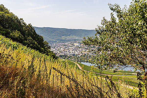 포토 JPG 해외이미지 유럽 여행 자국 휴가 산 독일 파노라마 풍경 사람없음 여름 강 태양 걷기 와인 계곡 자전거 크루즈 레드와인 화이트와인 언덕 포도밭 해외포토 자연요소 계절 나라 밭 배_교통 모션 주류 촬영기법 바이크 파일형식 이미지허브