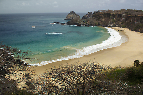 포토 JPG 해외이미지 나무 바다 섬 여행 자연 휴가 휴식 사람없음 야외 초록색 물 파란색 햇빛 만 투명 남아메리카 황금 암초 브라질 이국적 수평선 해외포토 자연요소 식물 컬러 컨셉 아메리카 태양 생태계 파일형식 이미지허브