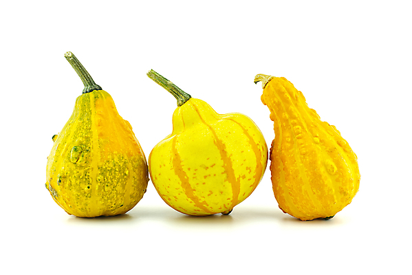 포토 JPG 해외이미지 식물 계절 음식 줄기 백그라운드 농업 채소 오렌지 과일 재료 자연 호박 휴가 건강 사람없음 장식 초록색 컬러풀 농장 노란색 정원 축제 할로윈 수확 흰색 시골 신선 11월 심볼 오브젝트 유기농 날것 박 추수감사절 스쿼시 10월 내추럴 고립 숙성 채식주의자 해외포토 웰빙 산업 기독교 스포츠 컬러 구기 날짜 생태계 채식 파일형식 이미지허브