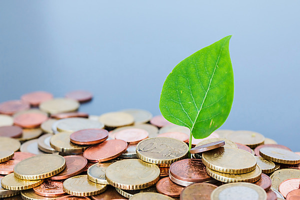 포토 JPG 해외이미지 컨셉 잎 돈 비즈니스 사람없음 초록색 금융 경제 동전 저축 유로 성장 변화 재산 발굴 민트 투자 상승 이익 수익 유지 월급 고용 관심 렌탈 수입 해외포토 식물 컬러 구직 허브 채용 파일형식 이미지허브