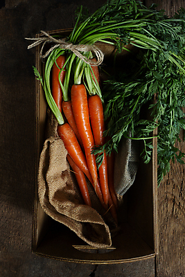 포토 JPG 해외이미지 계절 음식 잎 농업 다이어트 채소 오렌지 재료 자연 탁자 건강 사람없음 목재 세로 초록색 갈색 정원 당근 수확 신선 닫기 선택 다발 먹기 준비 유기농 원예 날것 캔버스 섬유 건강식 내추럴 숙성 채식주의자 해외포토 나무 식물 웰빙 산업 컬러 가구 컨셉 과일 모션 뿌리채소 취미 직물 생태계 채식 파일형식 이미지허브