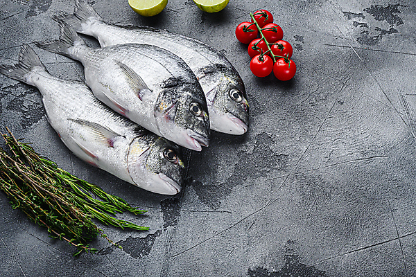 포토 JPG 해외이미지 방울토마토 회색배경 사람없음 공백 날것 도미 백리향 카피스페이스 해외포토 백그라운드 토마토 어류 회색 파일형식 이미지허브