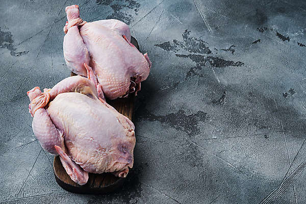 포토 JPG 해외이미지 생고기 사람없음 닭고기 생닭 카피스페이스 해외포토 육류 공백 닭 파일형식 이미지허브