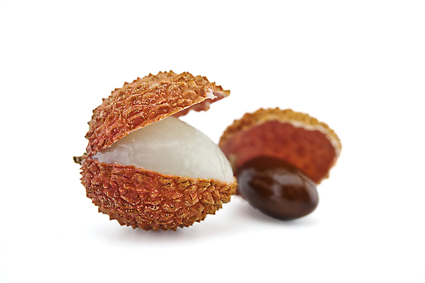 포토 JPG 해외이미지 실내 씨앗 사람없음 껍질 열대과일 흰배경 리치 해외포토 식물 백그라운드 과일 내부 흰색 파일형식 이미지허브