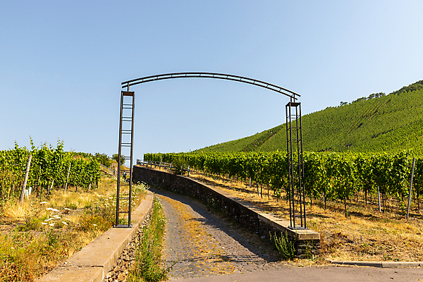 포토 JPG 해외이미지 유럽 여행 자국 휴가 산 독일 풍경 사람없음 여름 강 태양 걷기 와인 계곡 자전거 크루즈 레드와인 화이트와인 언덕 포도밭 해외포토 자연요소 계절 나라 밭 배_교통 모션 주류 바이크 파일형식 이미지허브