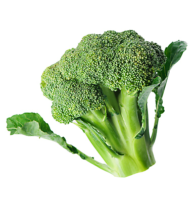 포토 JPG 해외이미지 채소 사람없음 초록색 브로콜리 해외포토 컬러 파일형식 이미지허브