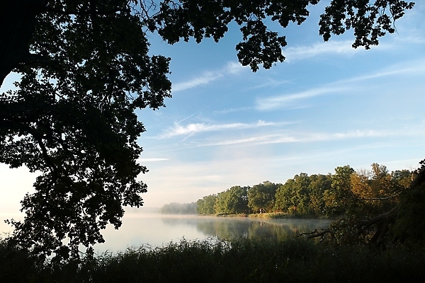 포토 JPG 해외이미지 나무 구름 실루엣 호수 백그라운드 낙엽 잎 자연 하늘 아침 날씨 그림자 풍경 사람없음 야외 물 빛 컬러풀 햇빛 일출 환경 일몰 새벽 활발 안개 가을 나뭇가지 시골 연못 황무지 숲 그림 내추럴 해외포토 주간 자연요소 식물 계절 컬러 컨셉 촬영기법 태양 노을 생태계 파일형식 이미지허브