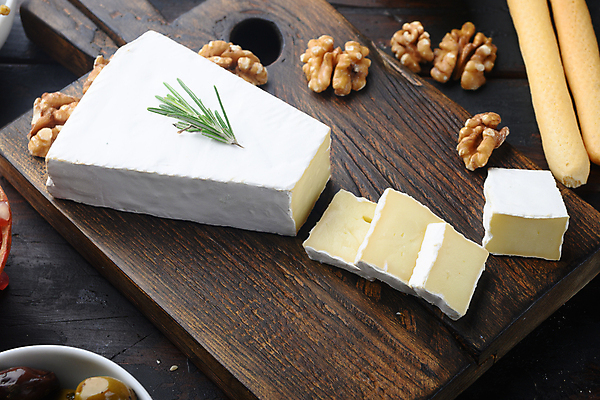 포토 JPG 해외이미지 치즈 사람없음 브리치즈 해외포토 유제품 파일형식 이미지허브