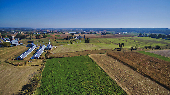 포토 JPG 해외이미지 식물 계절 산업 문화 음식 백그라운드 잎 밭 농업 채소 자연 하늘 옥수수 사람없음 야외 초록색 파란색 농작물 농장 농경지 환경 맑음 봄 수확 성장 시골 신선 낟알 땅 유기농 장면 내추럴 드론 밭일 줄서기 수평선 세련 해외포토 웰빙 컬러 모션 날씨 곡류 생태계 파일형식 이미지허브