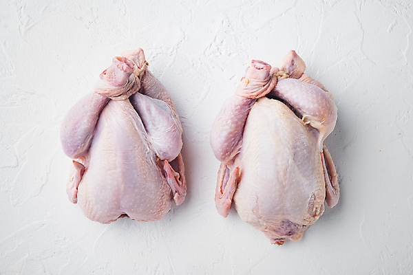 포토 JPG 해외이미지 생고기 사람없음 닭고기 생닭 해외포토 육류 닭 파일형식 이미지허브