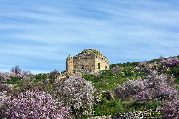 포토 JPG 해외이미지 나무 식물 유럽 벽 건축양식 하늘 산 사람없음 야외 초록색 파란색 교회 탑 맑음 보라색 골동품 사찰 성 중세 역사 파편 지중해 그리스 언덕 폐허 모스크 그리스인 고고학 비잔틴 아크로폴리스 옛날 파멸 해외포토 서양인 건축물 교육 건축 나라 바다 컬러 컨셉 종교건축 날씨 건물 이슬람교 제국 파일형식 소멸 이미지허브