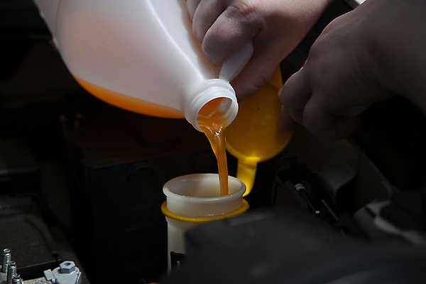 포토 JPG 해외이미지 라이프스타일 손 자동차 들기 근접촬영 신체부위 붓기 청소 세차 워셔액 해외포토 육상교통 뷰포인트 모션 사람 생활 차량용품 파일형식 이미지허브