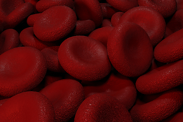 포토 JPG 해외이미지 세포 사람없음 빨간색 3D 적혈구 혈구 해외포토 컬러 디지털합성 혈관 파일형식 이미지허브