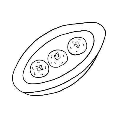 EPS 해외이미지 전통 디자인 문화 토마토 일러스트 요리 식당 검은색 축제 식사 저녁식사 흰색 맛 수프 낙서 냄비 만화 스케치 인도인 크림 메뉴 매움 베트남 점심식사 전국 강황 해외일러스트 외국인 컬러 컨셉 채소 식재료 미술 동양인 상점 동남아시아 솥 파일형식 벡터 이미지허브