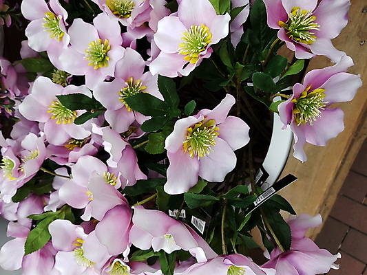 포토 JPG 해외이미지 식물 배너 계절 꽃 화분 분홍색 꽃다발 백그라운드 잎 꽃무늬 자연 벽지 프레임 국화 발렌타인데이 파노라마 사랑 미술 이벤트 사람없음 장식 초록색 컬러풀 장미 세일 여러개 가을 직물 인사 커튼 발표 개화 묘사 오브젝트 원예 데이지 조경 쇼 해외포토 감정 컬러 다수 무늬 데이이벤트 문화예술 촬영기법 취미 예절 생태계 파일형식 이미지허브