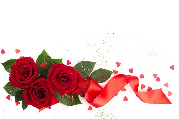 포토 JPG 해외이미지 모양 디자인 꽃 리본 결혼 백그라운드 컨셉 잎 텍스트 자연 휴가 기념 발렌타인데이 3 선물 사랑 사람없음 장식 빨간색 초록색 장미 축제 놀람 공백 벚꽃 흰색 하트 축하 인사 신선 신용카드 우아함 실크 고립 구성 엘리먼트 카피스페이스 해외포토 식물 감정 컬러 데이이벤트 표정 이벤트 금융 직물 예절 생태계 파일형식 이미지허브