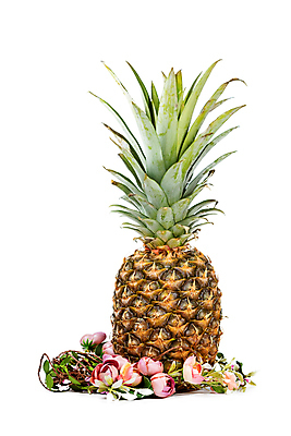 포토 JPG 해외이미지 디자인 계절 꽃 행복 백그라운드 컨셉 자연 추상 휴가 부활절 사람없음 컬러풀 유행 축하 파인애플 흰배경 고립 동정 해외포토 식물 기념일 감정 컬러 무늬 과일 흰색 열대과일 생태계 파일형식 이미지허브