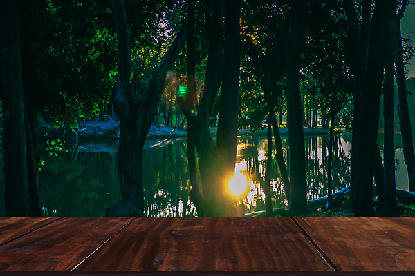 포토 JPG 해외이미지 나무 호수 자연 아침 산 풍경 사람없음 야외 빛 햇빛 태양 일출 환경 침묵 일몰 봄 가을 연못 숲 장면 내추럴 해외포토 주간 자연요소 식물 계절 노을 소리 생태계 파일형식 이미지허브