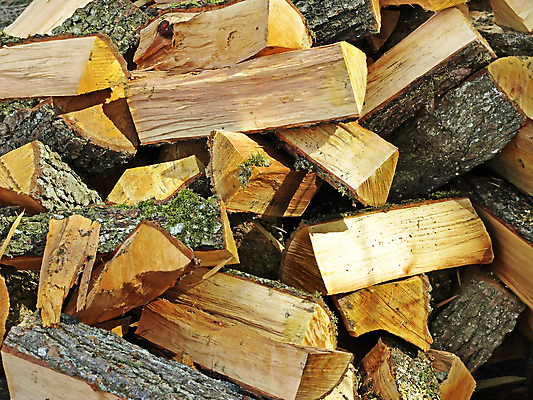 포토 JPG 해외이미지 나무 사람없음 목재 에너지 원형 숲 장작 언덕 날것 난방 내추럴 해외포토 도형 식물 재료 파일형식 이미지허브