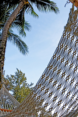 포토 JPG 해외이미지 나무 라이프스타일 공원 밧줄 바다 여행 컨셉 태국 자연 하늘 호텔 휴가 휴식 사람없음 야외 목재 초록색 농장 정원 맑음 침묵 시골 잠 그물 놀이터 그네 시골집 원예 휴양지 매듭 해먹 망사 뒤뜰 파라다이스 안락 해외포토 식물 공공시설 아시아 줄 컬러 농업 재료 놀이 숙소 날씨 주택 취미 생활 소리 장소 침대 직물 생태계 파일형식 이미지허브