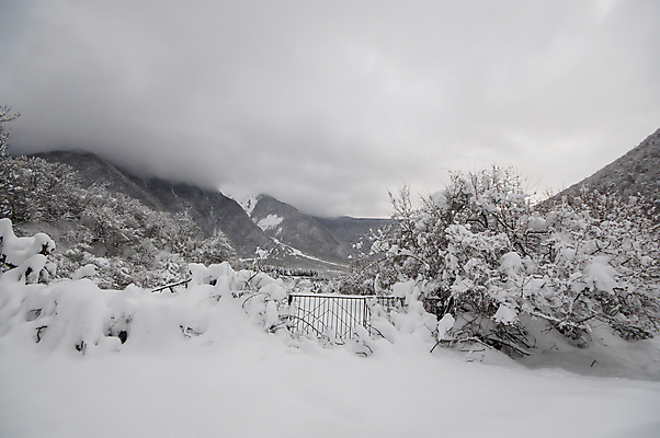 포토 JPG 해외이미지 나무 구름 계절 도로 여행 백그라운드 크리스마스 겨울 자연 하늘 동화 휴가 새로움 산 파노라마 풍경 사람없음 야외 목재 환경 냉동 얼음 추위 안개 덮개 백발 흰색 나뭇가지 숲 아스팔트 연도 서리 전나무 눈보라 산악지대 뿌연 아제르바이잔 절정 폭설 눈내림 해외포토 자연요소 식물 헤어스타일 기념일 나라 길 컬러 컨셉 재료 교통시설 날씨 눈_날씨 촬영기법 뚜껑 자연재해 생태계 파일형식 이미지허브