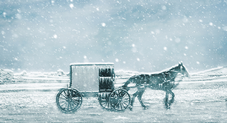 포토 JPG 해외이미지 동물 전통 종교 도로 길 여행 겨울 농업 교통시설 자연 사람없음 야외 유행 봄 활발 장비 수확 시골 역사 농부 복고 마차 유모차 폭풍 구식 해외포토 직업 계절 산업 교통수단 교통 컨셉 날씨 아기용품 시설 생태계 파일형식 이미지허브