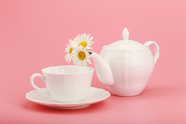 포토 JPG 해외이미지 꽃 컨셉 실내 사람없음 장식 찻잔 찻주전자 컵받침 분홍색배경 해외포토 식물 분홍색 백그라운드 주전자 잔 내부 받침대 파일형식 이미지허브